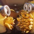 Box Office: ‘Minions & Monsters’ Nears $100 Million Overseas, ‘Toy Story 5’ Climbs to $764 Million Globally