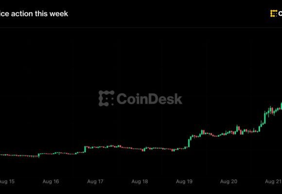 Zcash jumps 48% to over $800 as Grayscale spot ETF push adds to ‘next bitcoin’ buzz