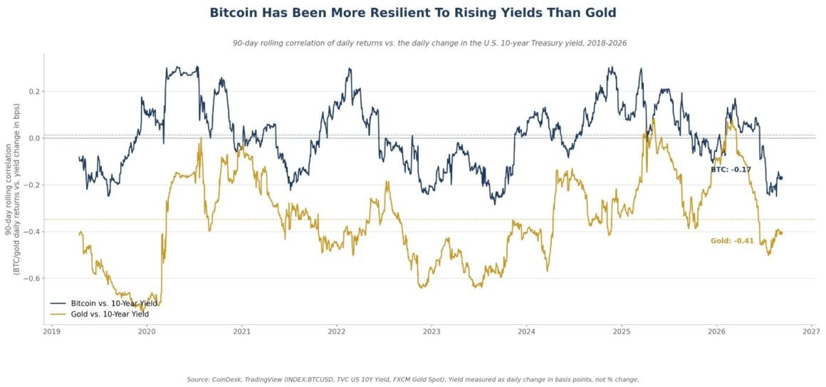 Bitcoin blinks less than gold when Treasury yields move