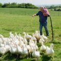 Jeremy Clarkson Is Already Thinking About What Comes After ‘Clarkson’s Farm’: ‘It Has To Be Unbelievably Ambitious’