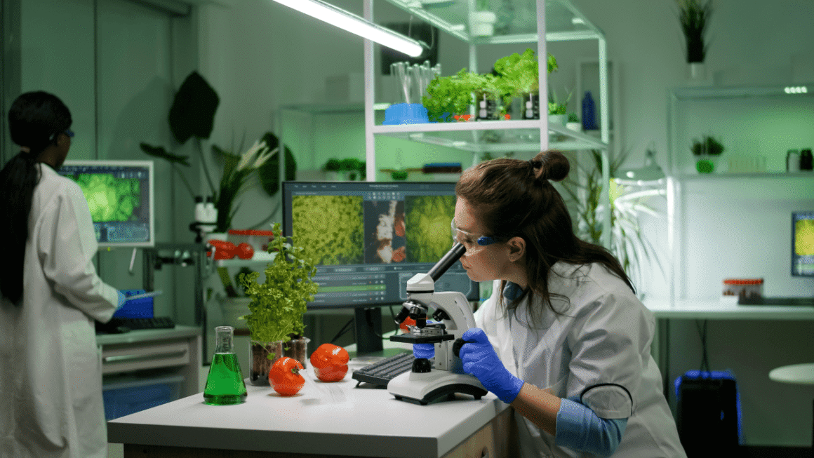 EIF backs Nordic Foodtech VC with €30M to scale Europe’s agrifood deeptech