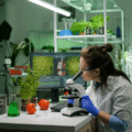EIF backs Nordic Foodtech VC with €30M to scale Europe’s agrifood deeptech